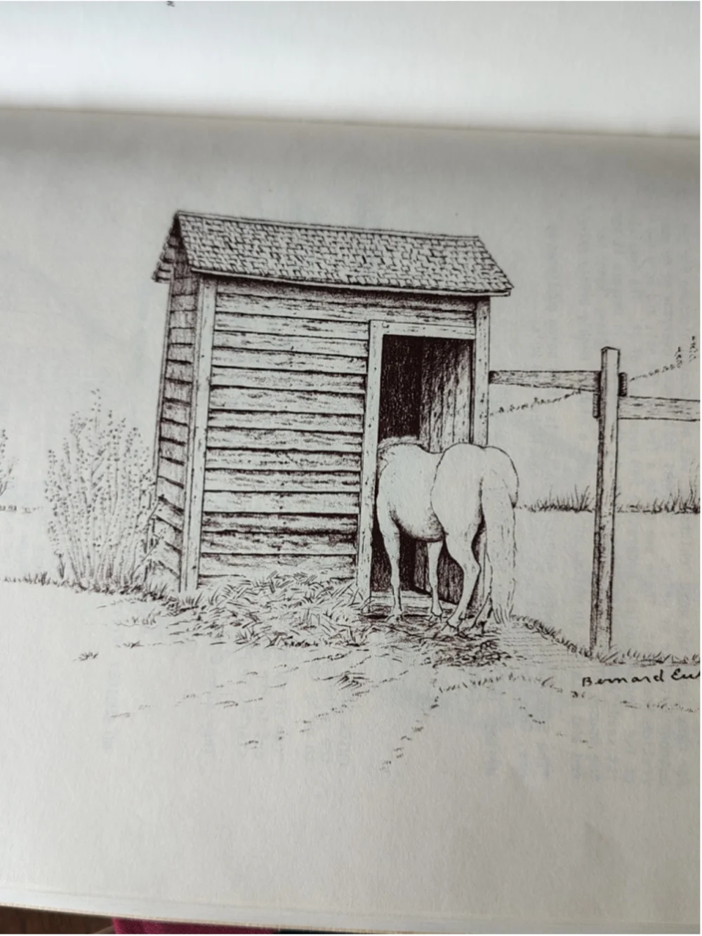 Outhouse Lore SIGNED 1ST ED Book Vintage 1977 Signed Bernard Eubanks Numbered